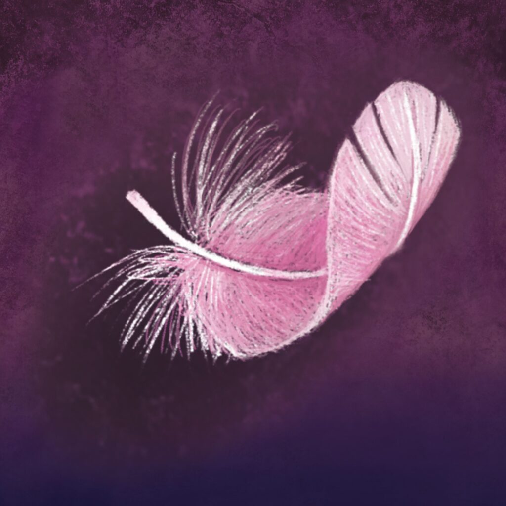 Cover Feather & Rose