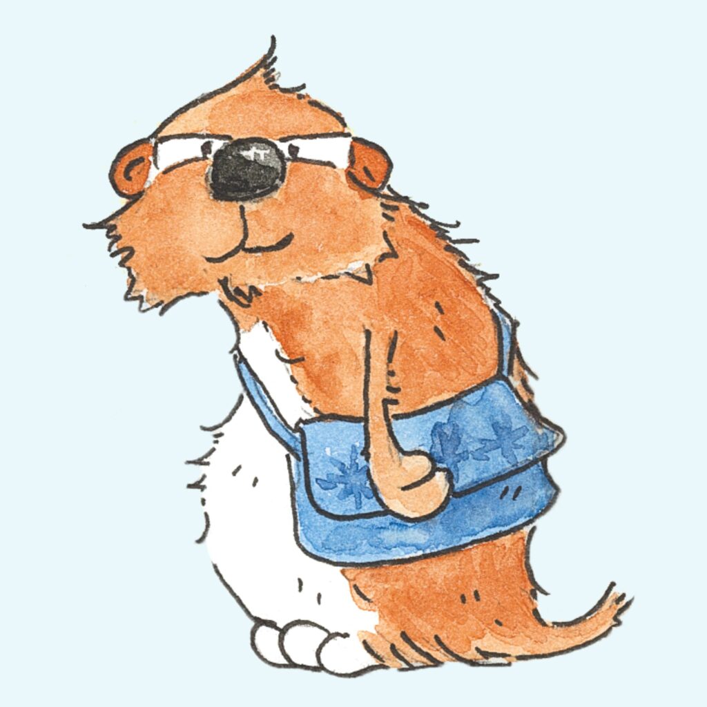 Cover Snöfrid aus dem Wiesental