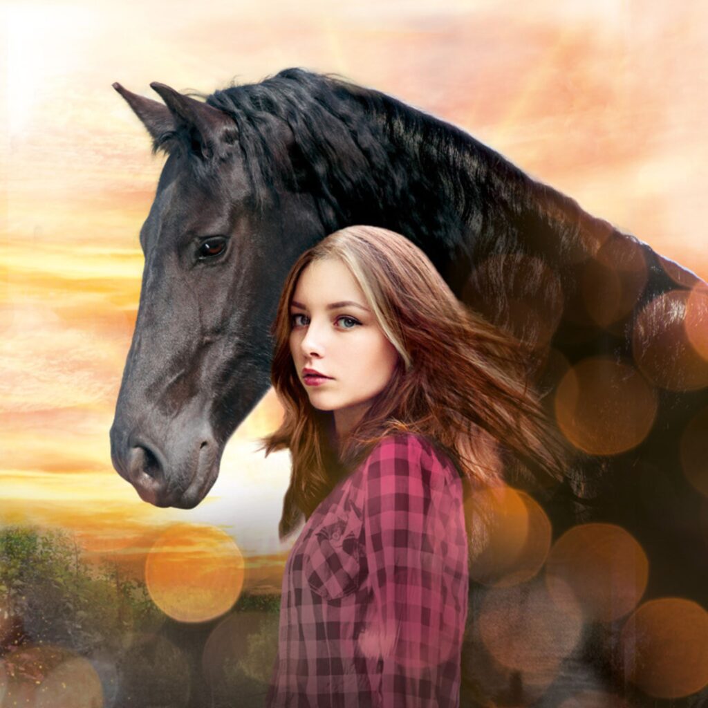 Cover Pferdeflüsterer-Academy