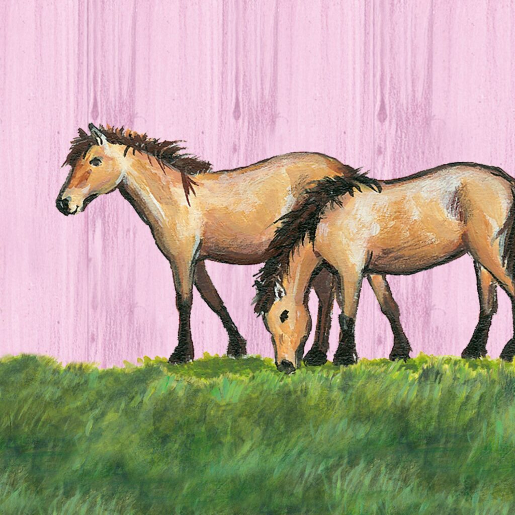 Cover Ponyhof Liliengrün